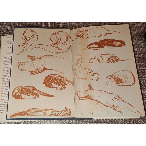 Ring of Bright Water by Gavin Maxwell 1961 Hardcover Sixth Printing - Picture 3 of 15